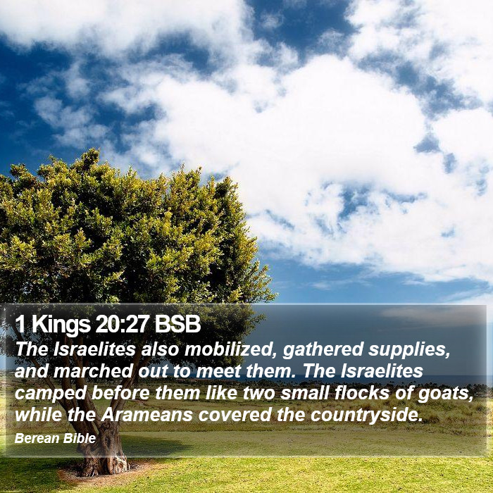 1 Kings 20:27 BSB Bible Study