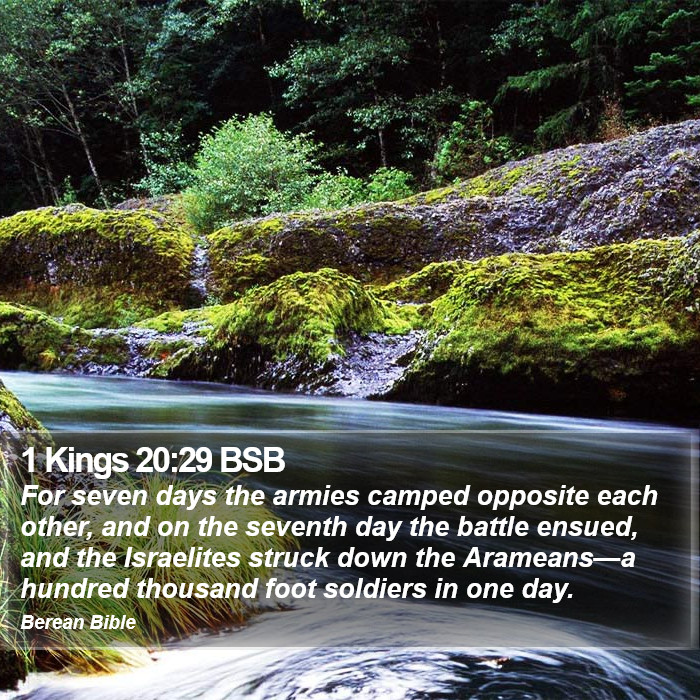 1 Kings 20:29 BSB Bible Study