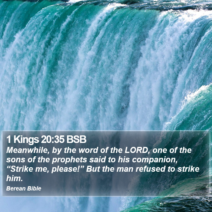 1 Kings 20:35 BSB Bible Study