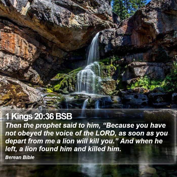 1 Kings 20:36 BSB Bible Study