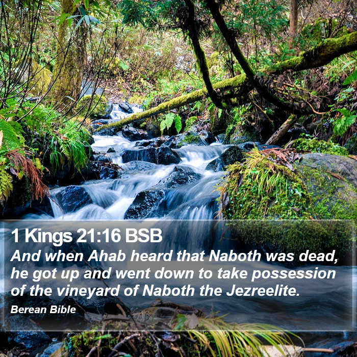 1 Kings 21:16 BSB Bible Study