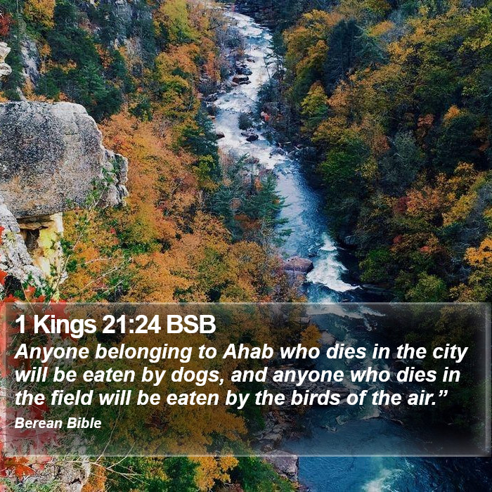 1 Kings 21:24 BSB Bible Study