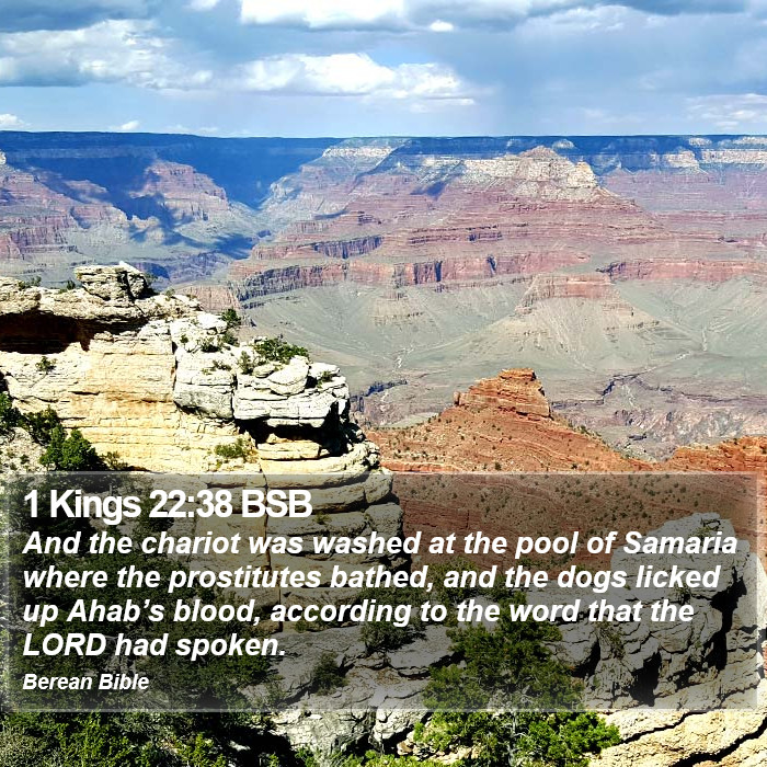 1 Kings 22:38 BSB Bible Study