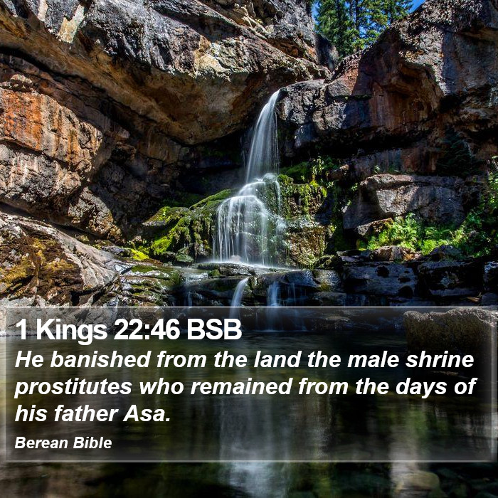 1 Kings 22:46 BSB Bible Study