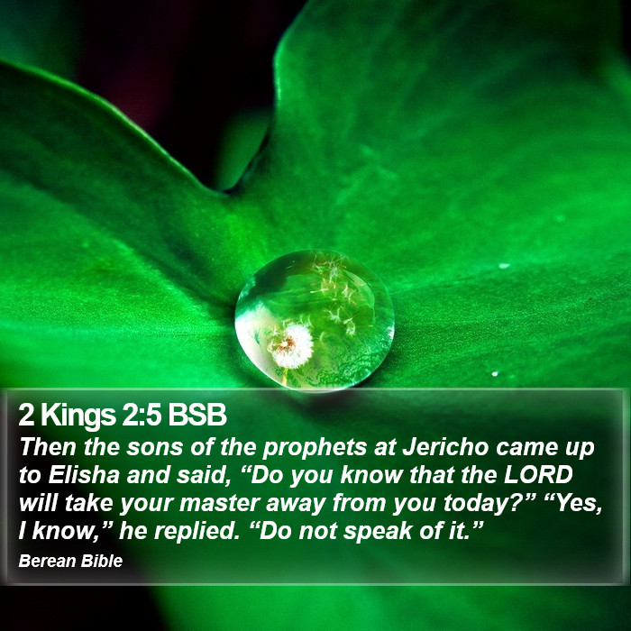 2 Kings 2:5 BSB Bible Study