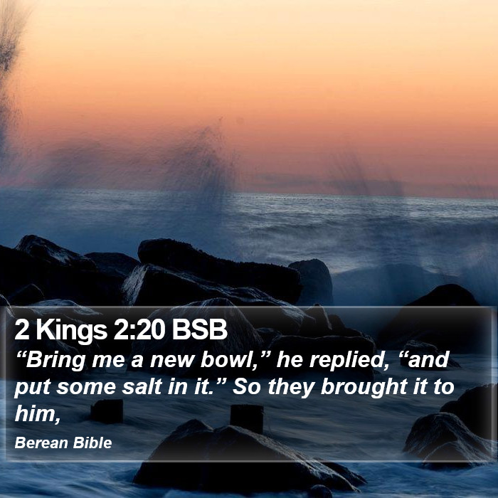 2 Kings 2:20 BSB Bible Study