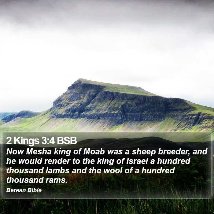 2 Kings 3:4 BSB Bible Study