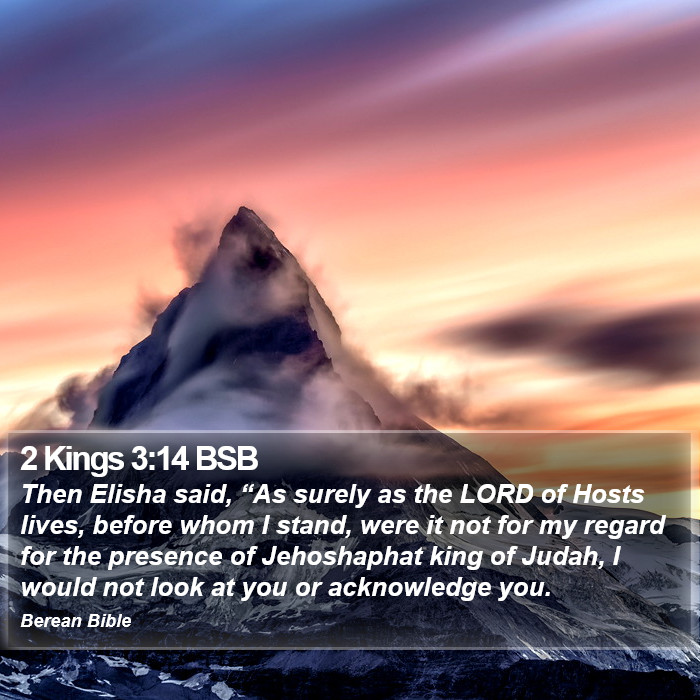 2 Kings 3:14 BSB Bible Study