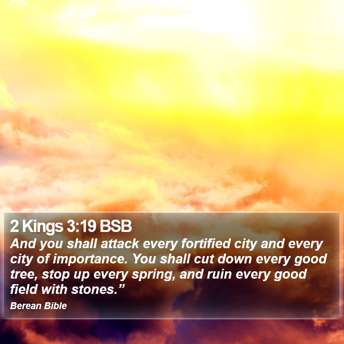 2 Kings 3:19 BSB Bible Study