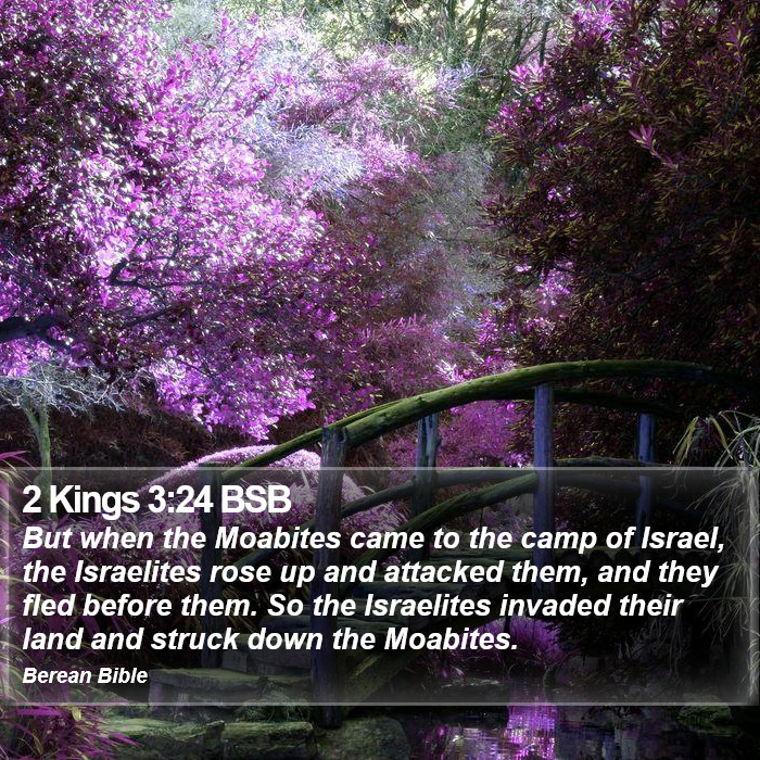 2 Kings 3:24 BSB Bible Study