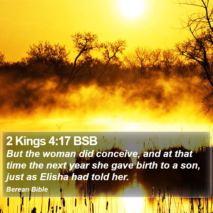 2 Kings 4:17 BSB Bible Study