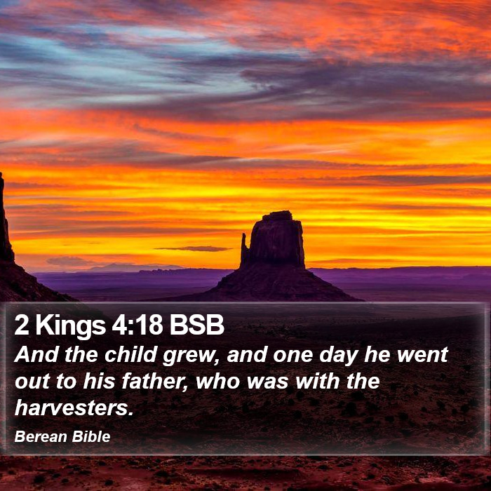 2 Kings 4:18 BSB Bible Study