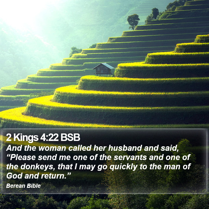 2 Kings 4:22 BSB Bible Study