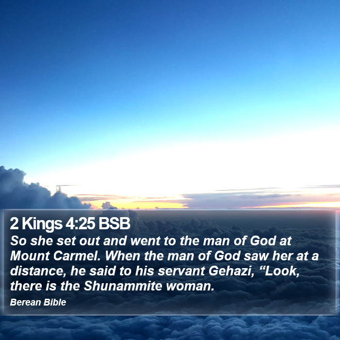 2 Kings 4:25 BSB Bible Study