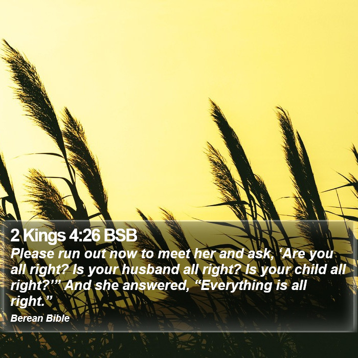 2 Kings 4:26 BSB Bible Study