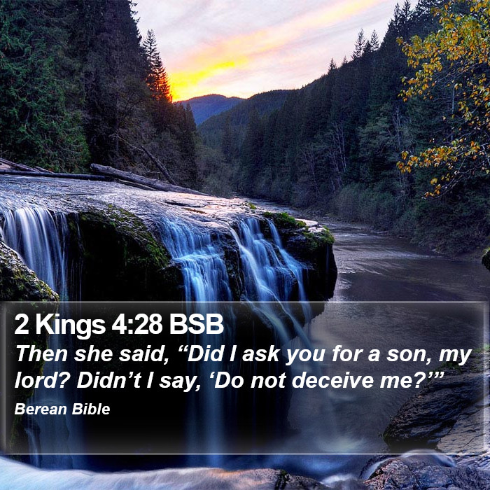 2 Kings 4:28 BSB Bible Study