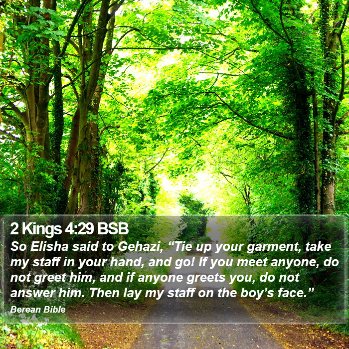 2 Kings 4:29 BSB Bible Study