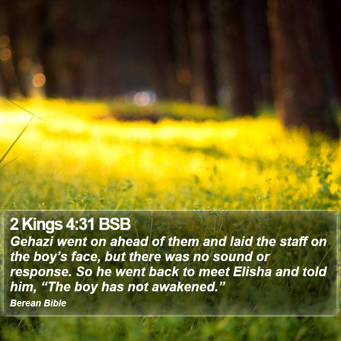 2 Kings 4:31 BSB Bible Study