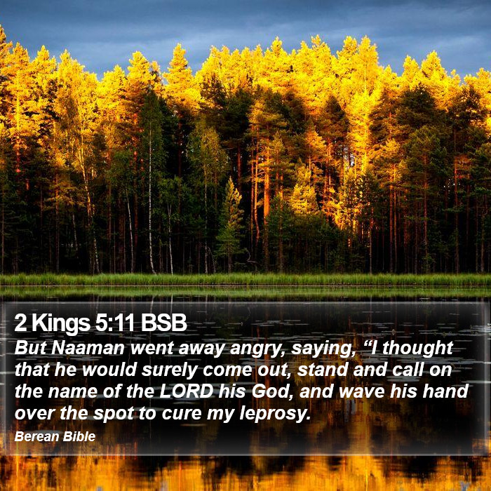 2 Kings 5:11 BSB Bible Study