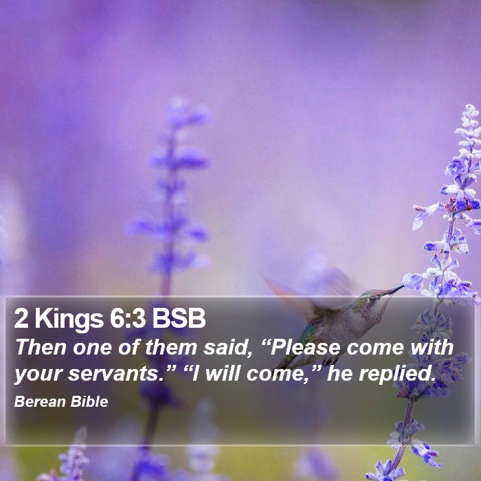 2 Kings 6:3 BSB Bible Study