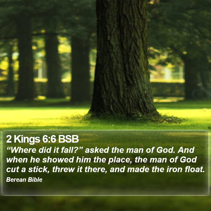 2 Kings 6:6 BSB Bible Study