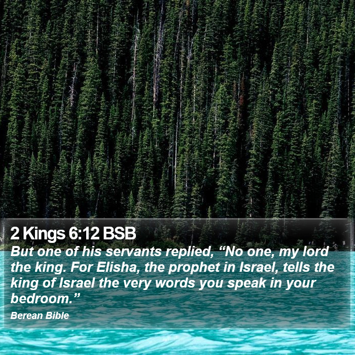 2 Kings 6:12 BSB Bible Study