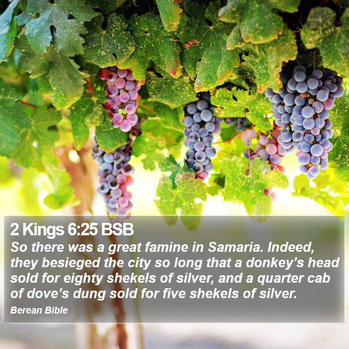 2 Kings 6:25 BSB Bible Study