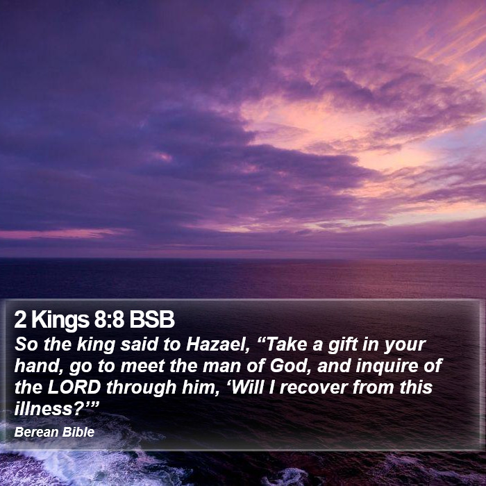 2 Kings 8:8 BSB Bible Study