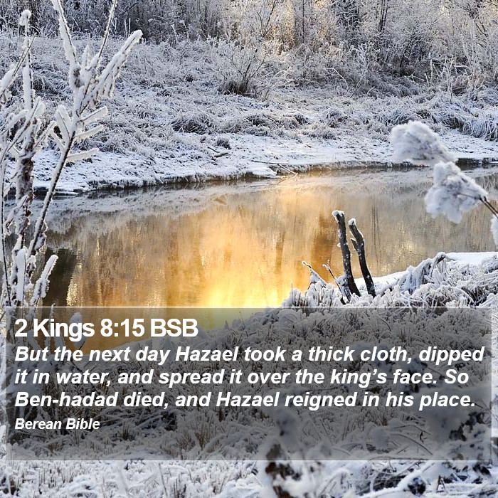 2 Kings 8:15 BSB Bible Study