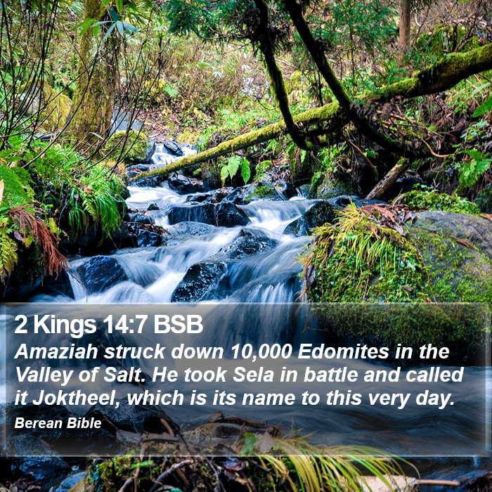 2 Kings 14:7 BSB Bible Study