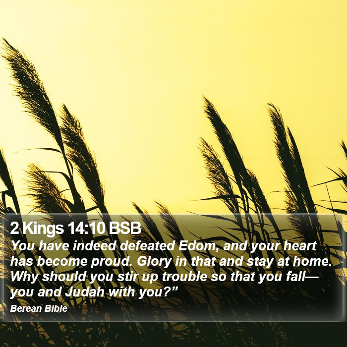 2 Kings 14:10 BSB Bible Study