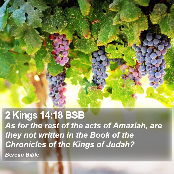 2 Kings 14:18 BSB Bible Study