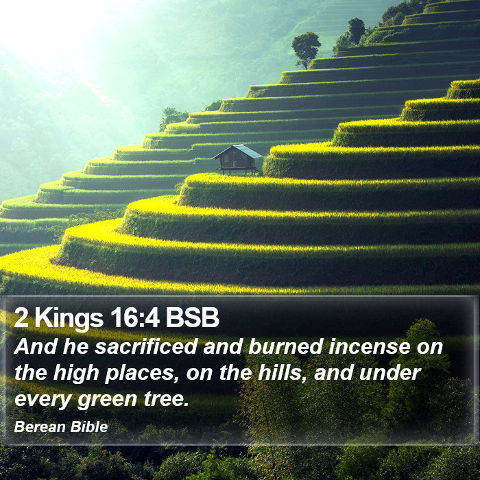 2 Kings 16:4 BSB Bible Study