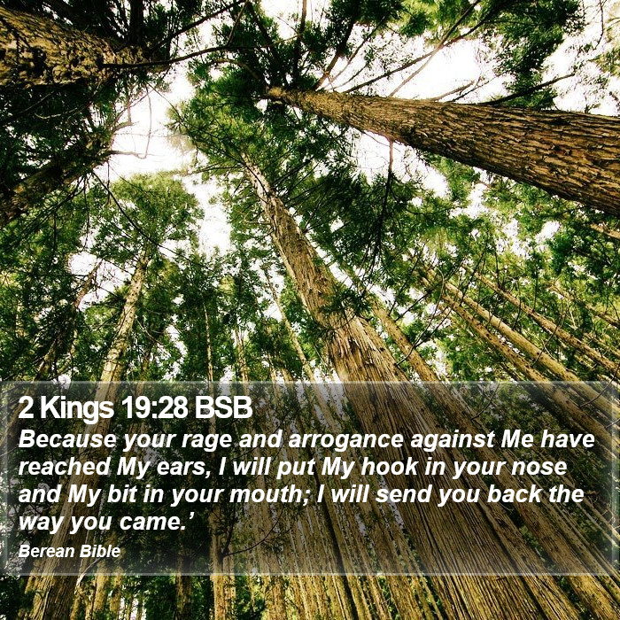 2 Kings 19:28 BSB Bible Study