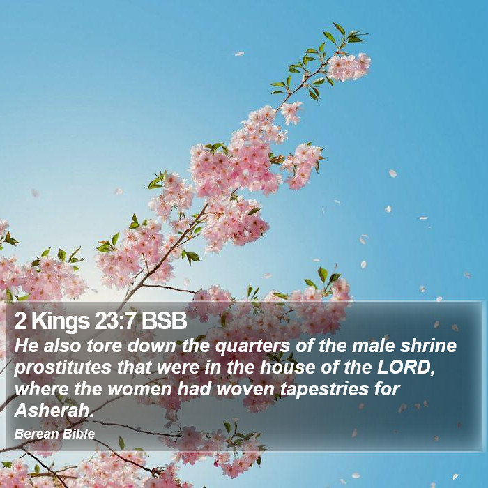 2 Kings 23:7 BSB Bible Study