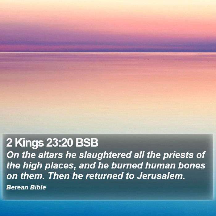 2 Kings 23:20 BSB Bible Study