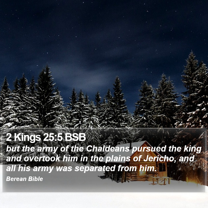 2 Kings 25:5 BSB Bible Study