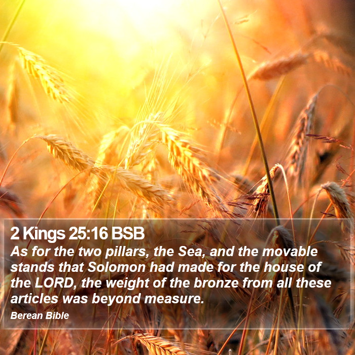 2 Kings 25:16 BSB Bible Study