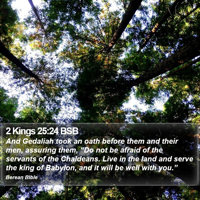 2 Kings 25:24 BSB Bible Study