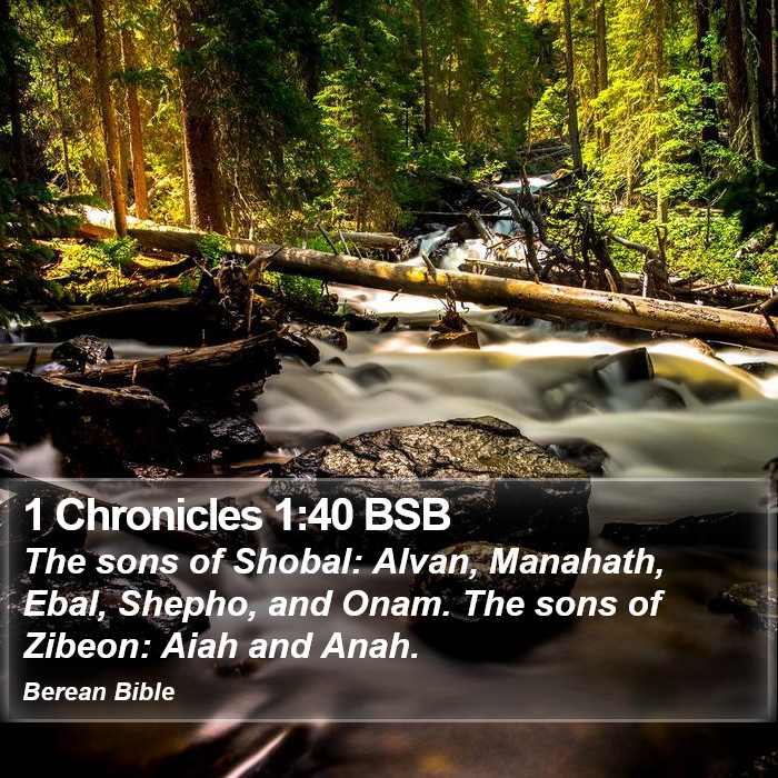 1 Chronicles 1:40 BSB Bible Study