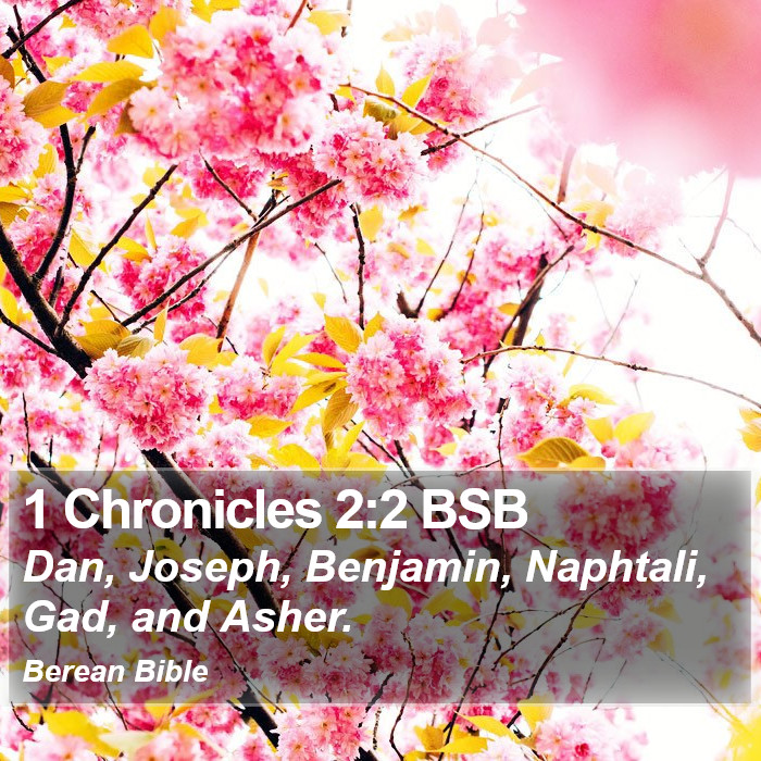 1 Chronicles 2:2 BSB Bible Study