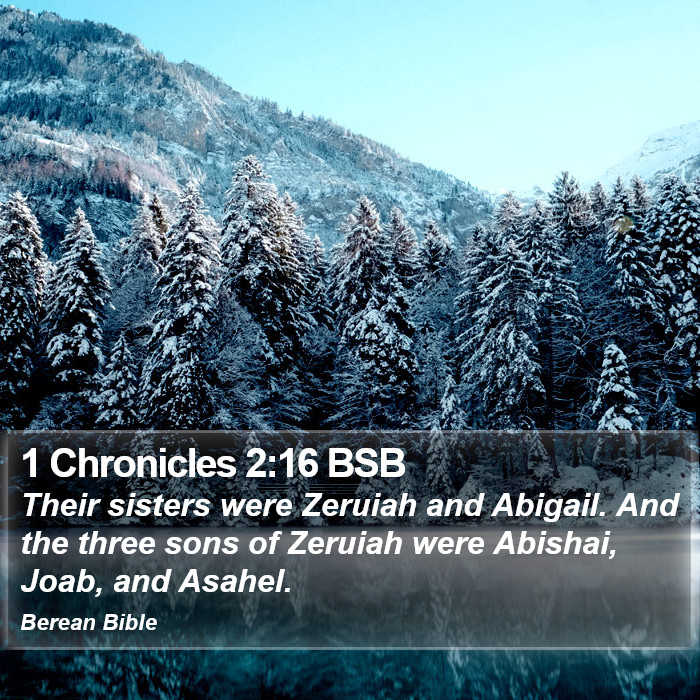 1 Chronicles 2:16 BSB Bible Study