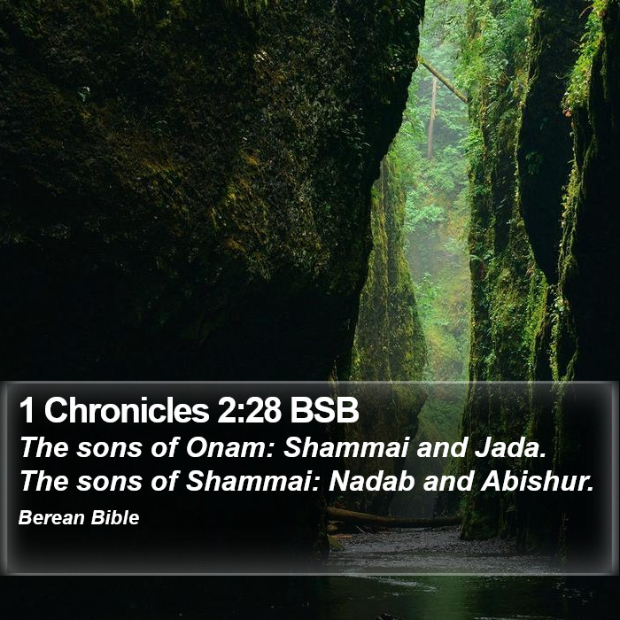 1 Chronicles 2:28 BSB Bible Study