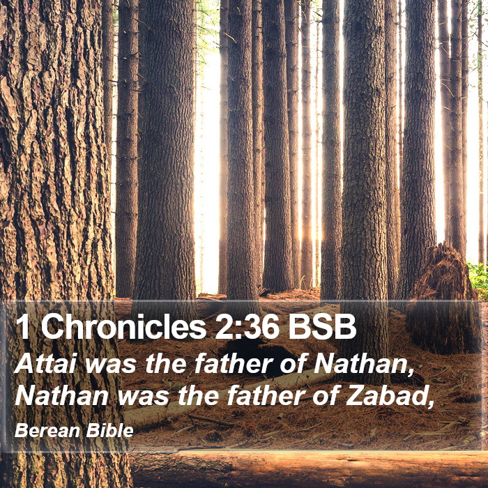 1 Chronicles 2:36 BSB Bible Study