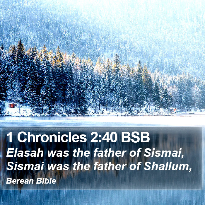 1 Chronicles 2:40 BSB Bible Study