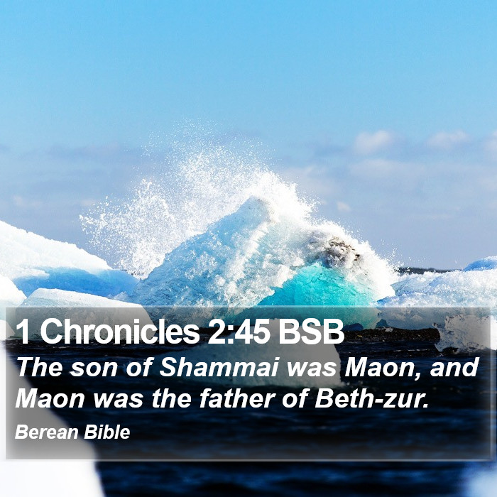 1 Chronicles 2:45 BSB Bible Study