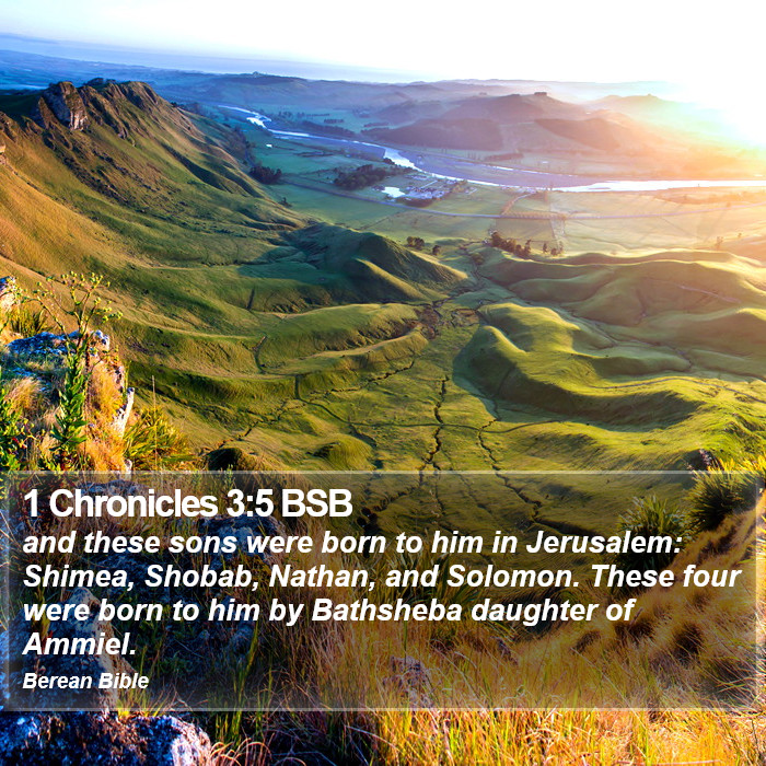 1 Chronicles 3:5 BSB Bible Study