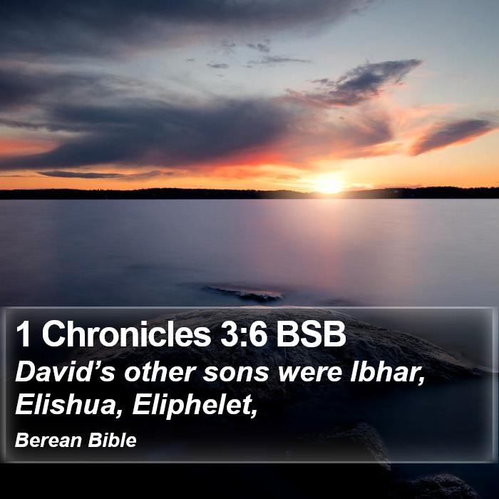 1 Chronicles 3:6 BSB Bible Study