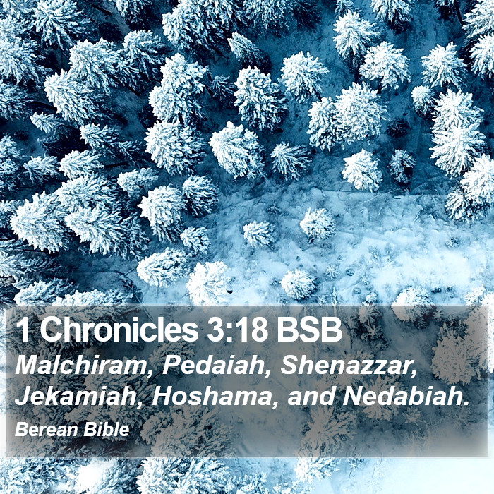 1 Chronicles 3:18 BSB Bible Study