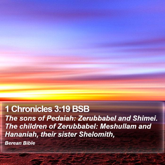 1 Chronicles 3:19 BSB Bible Study